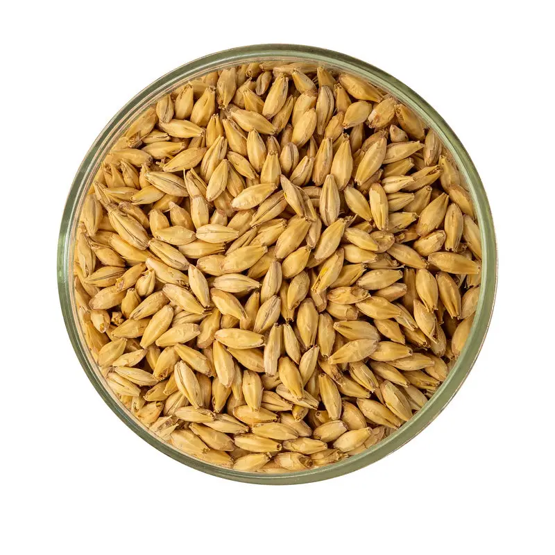 2-Row Malt - Rahr 1