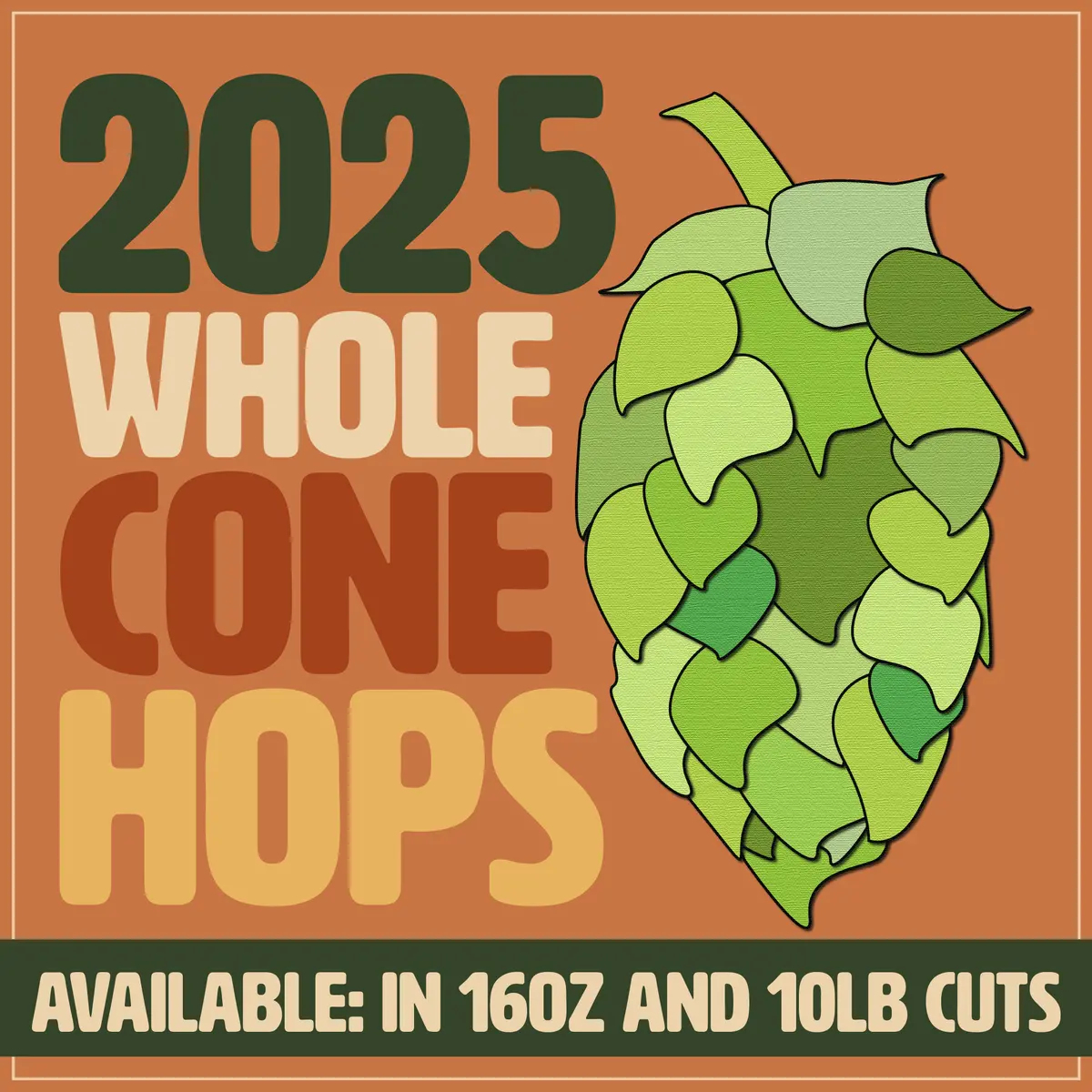 Whole Cone Hops 5