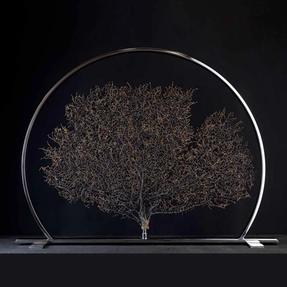 Arbre De La Vie 1