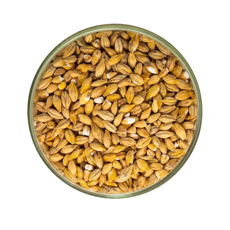Acidulated Malt - Ireks 1