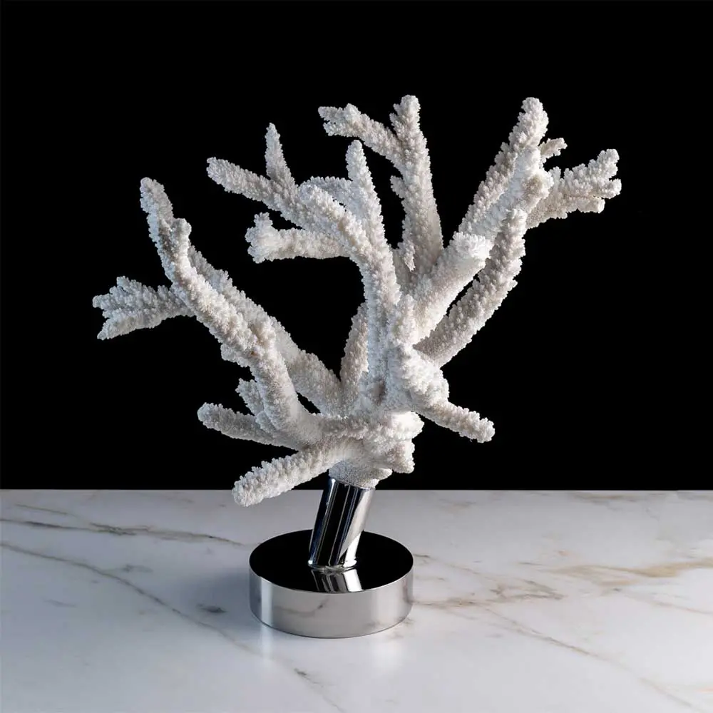 Branche De La Mer 1