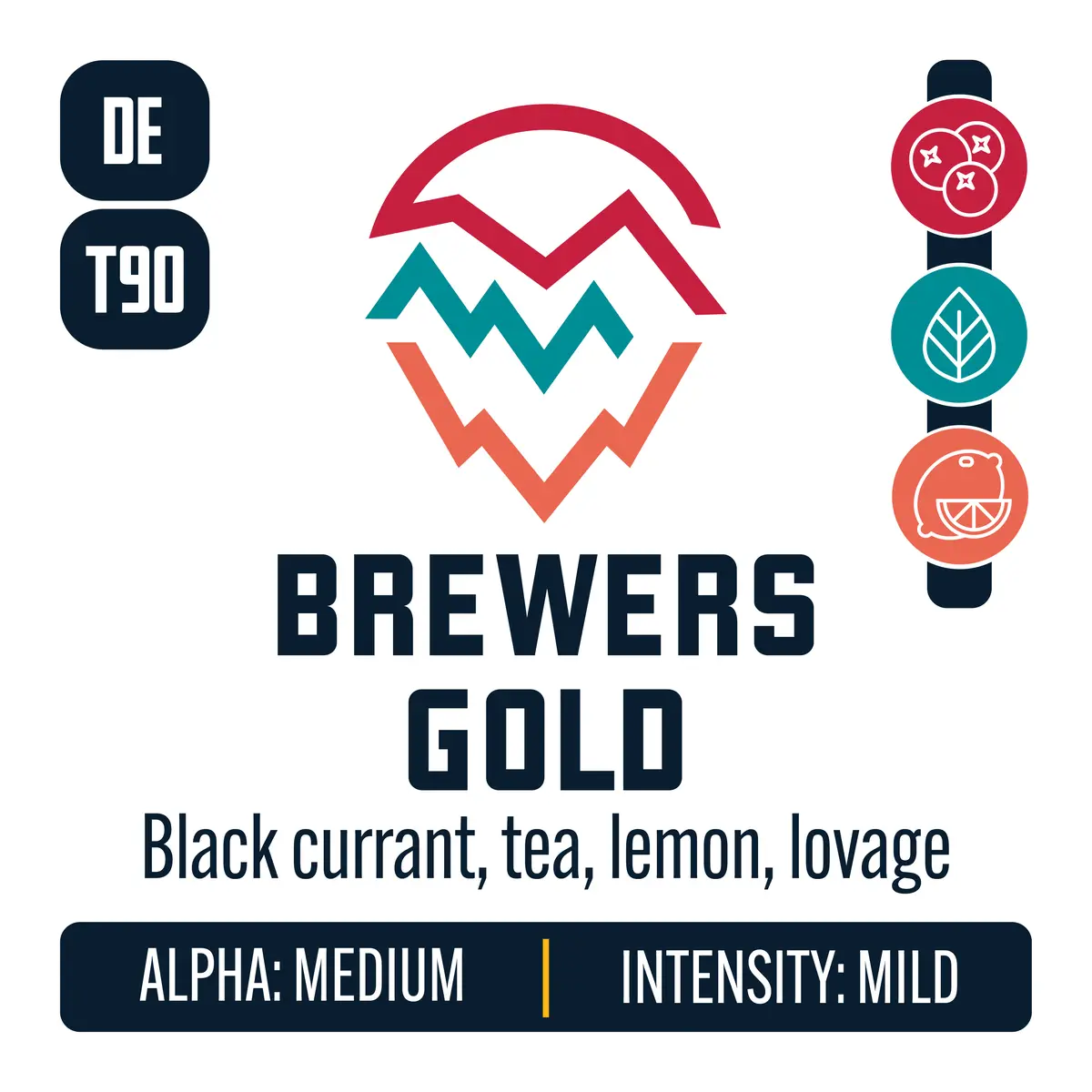 Brewers Gold Hops 1