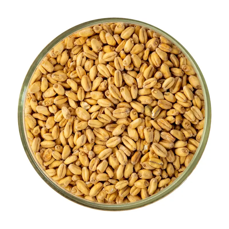 White Wheat Malt 1