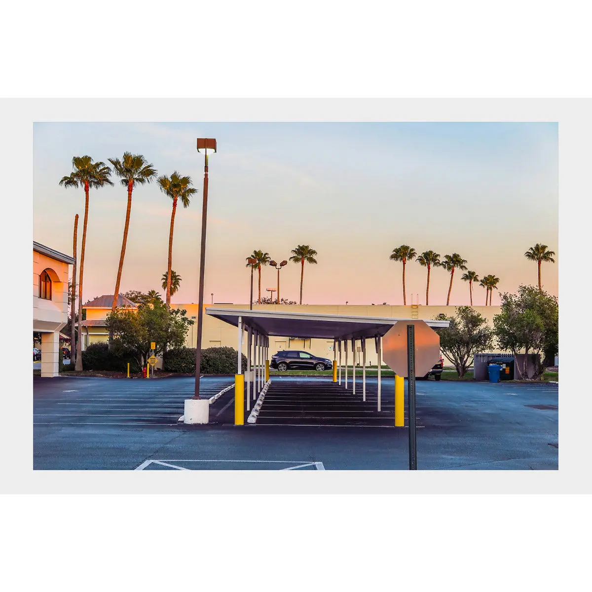 Car Port And Palm Trees 1