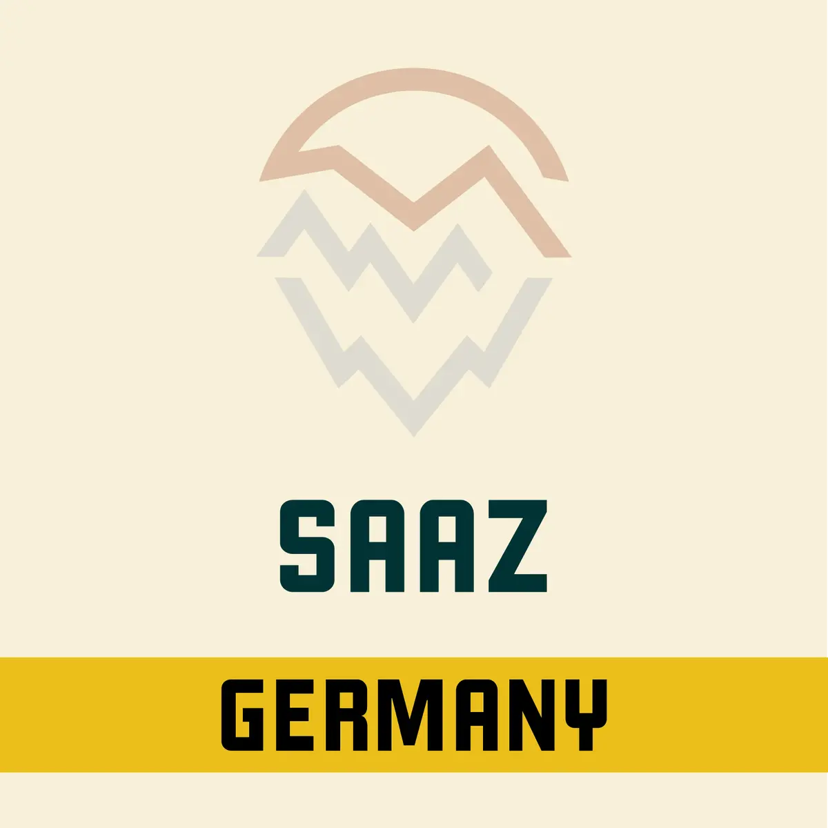 German Saaz Hops 1