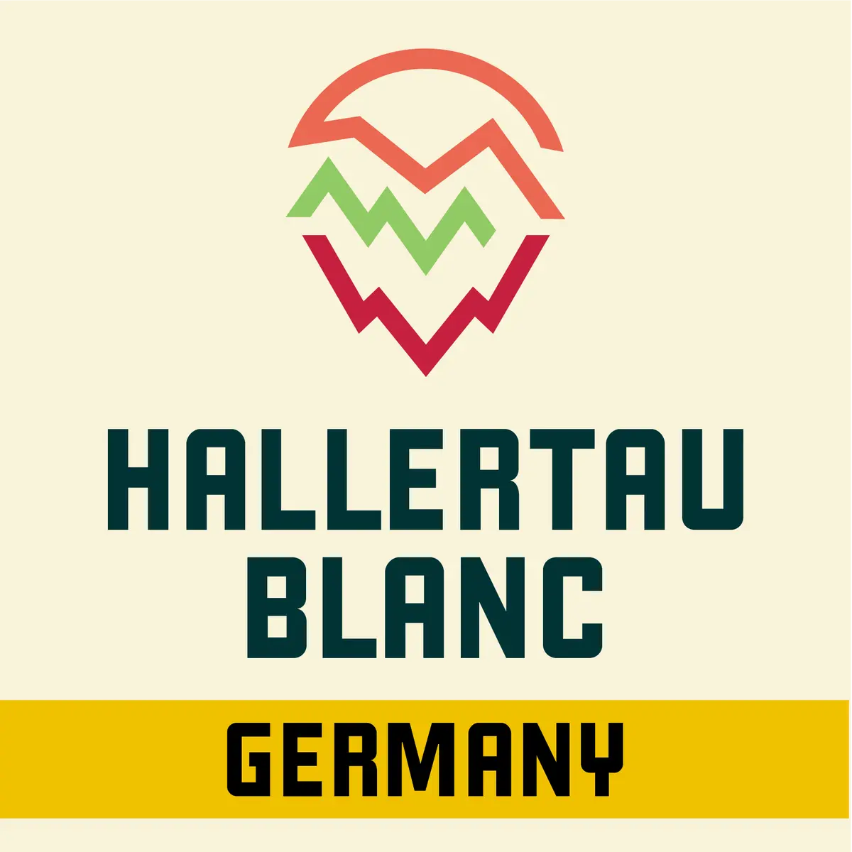 Hallertau Blanc Hops 1