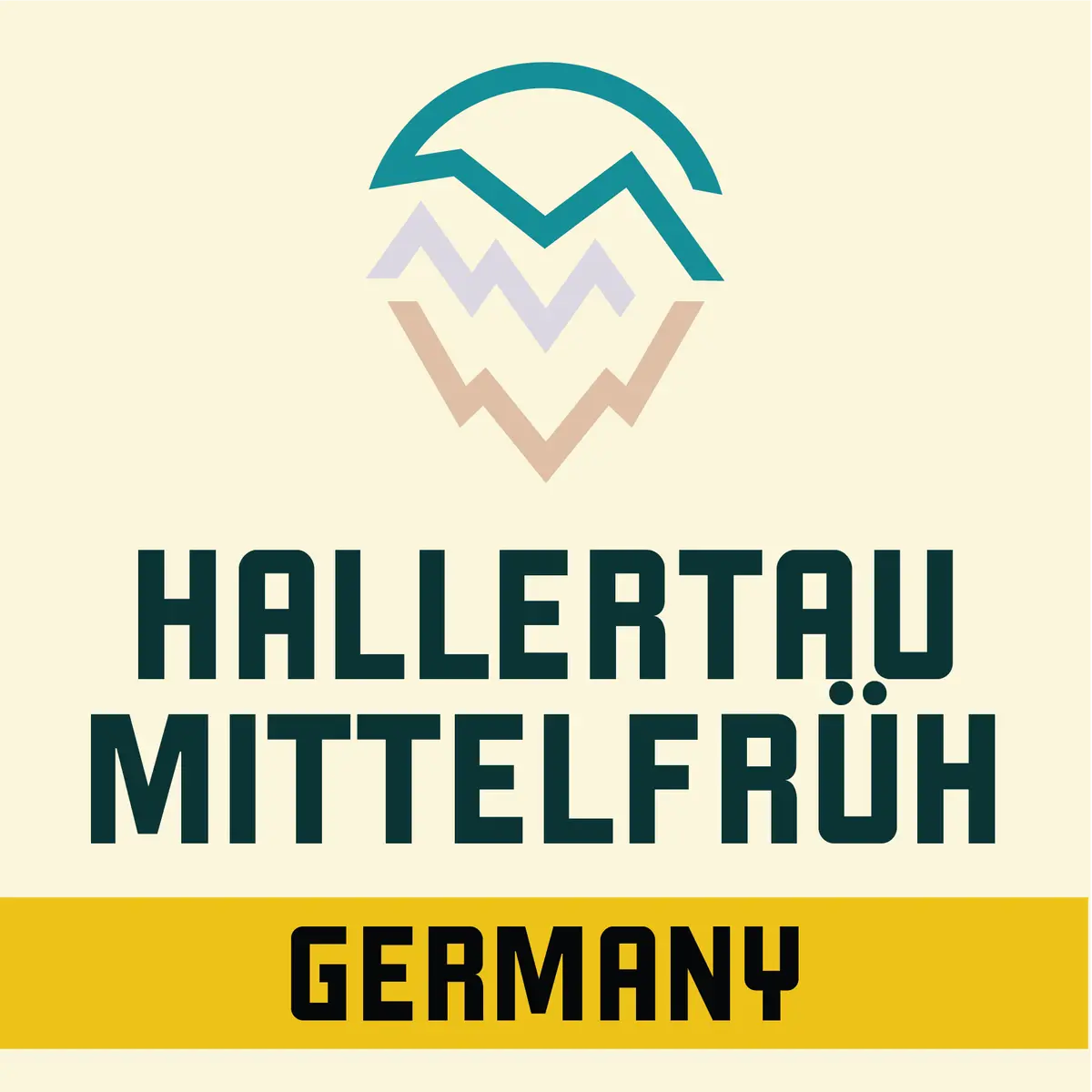 Hallertau Mittelfrüh Hops 1