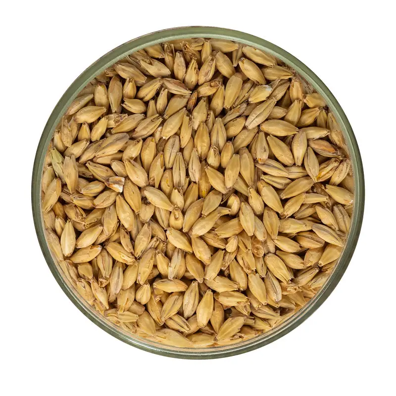 Pale Ale Malt - Rahr 1