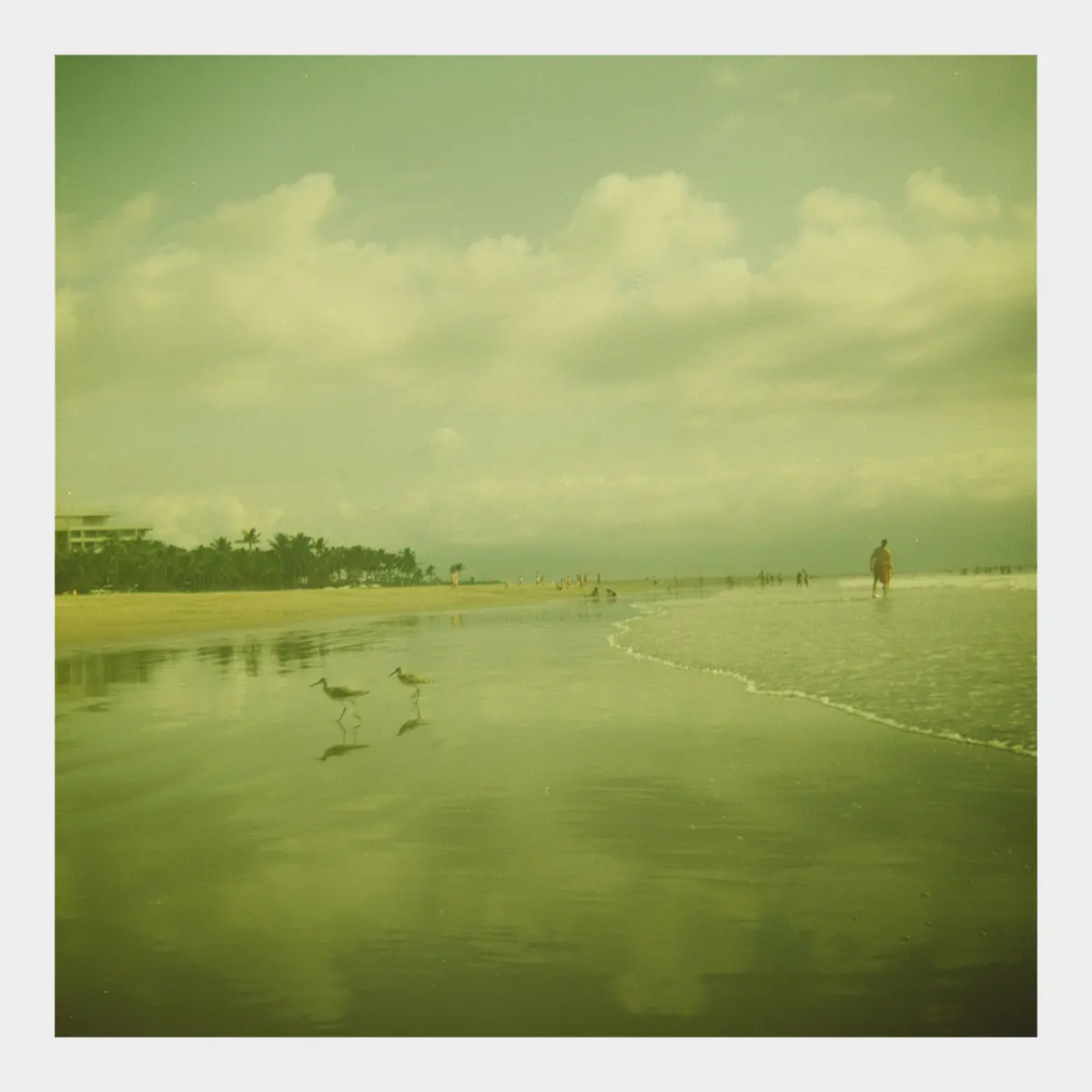Puerto Vallarta 1