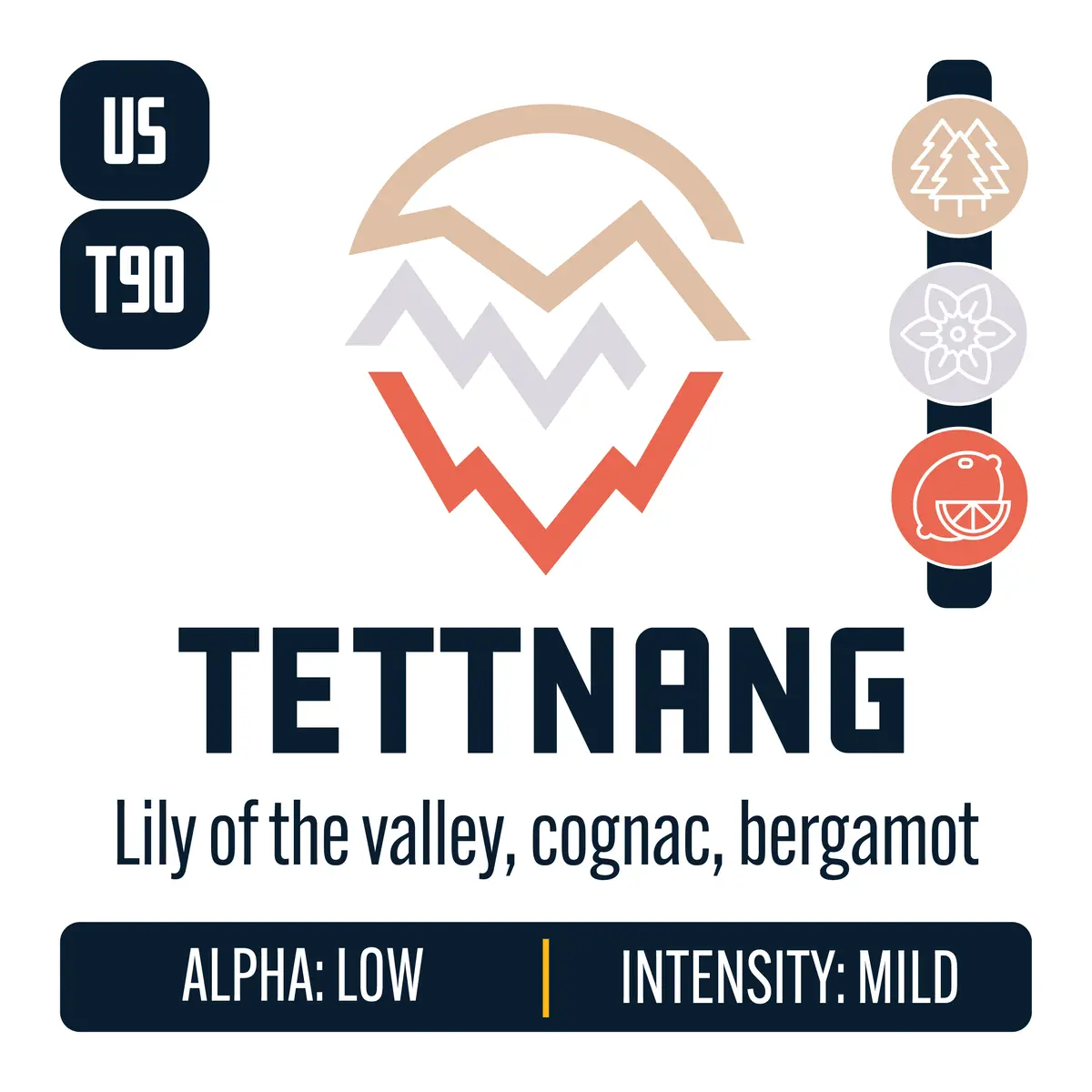 Us Tettnang Hops 1