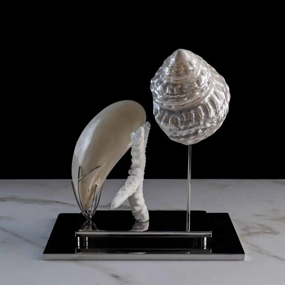 Vivre La Mer "Astraea Undosa" Shell 1