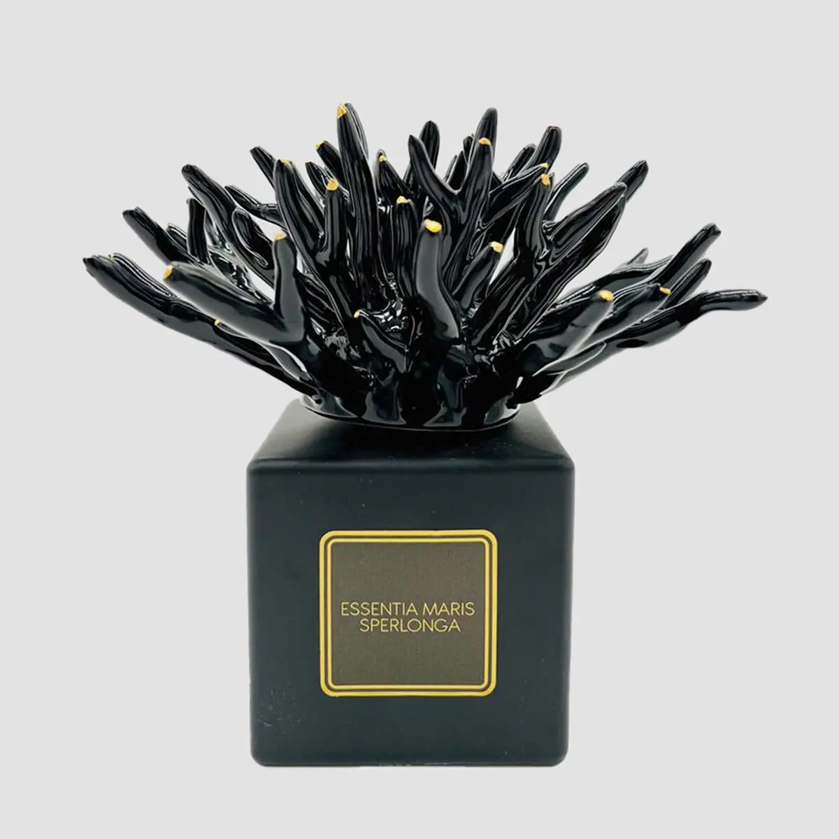 Black And Gold Coral 1