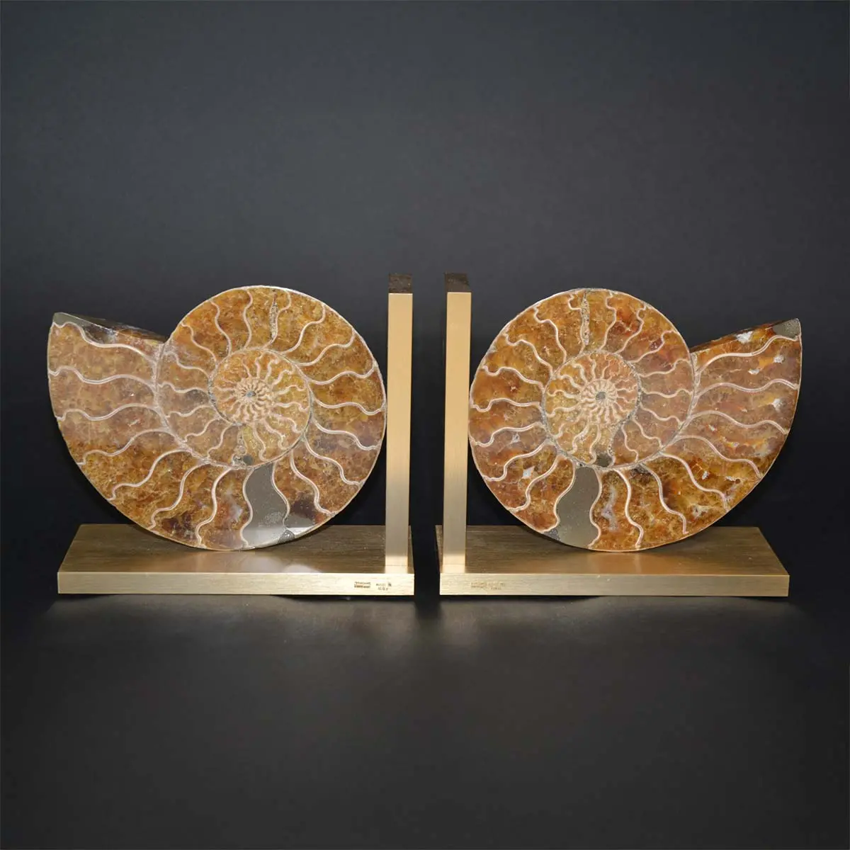 Fossil Bookend Pair 1