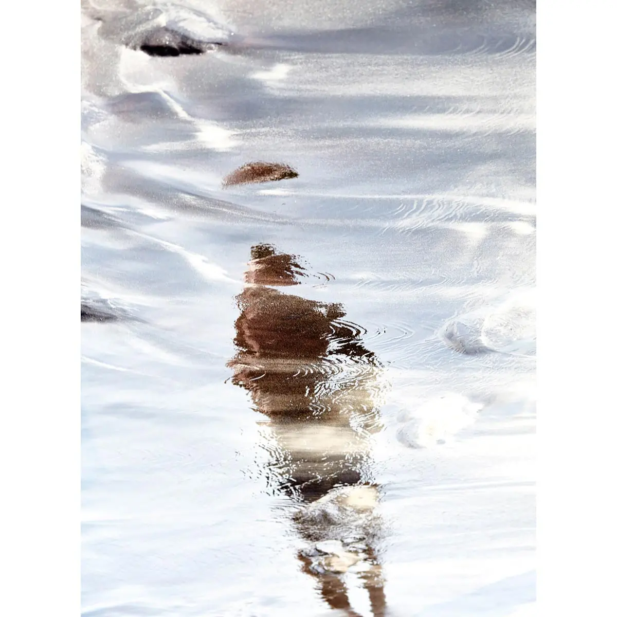 Dissolvenze, Adamo 1