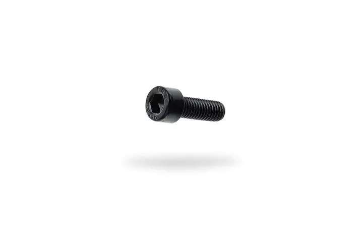 Brake Mount Bolts 1