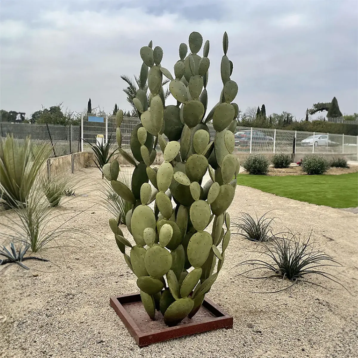 Extra Large Cactus 1