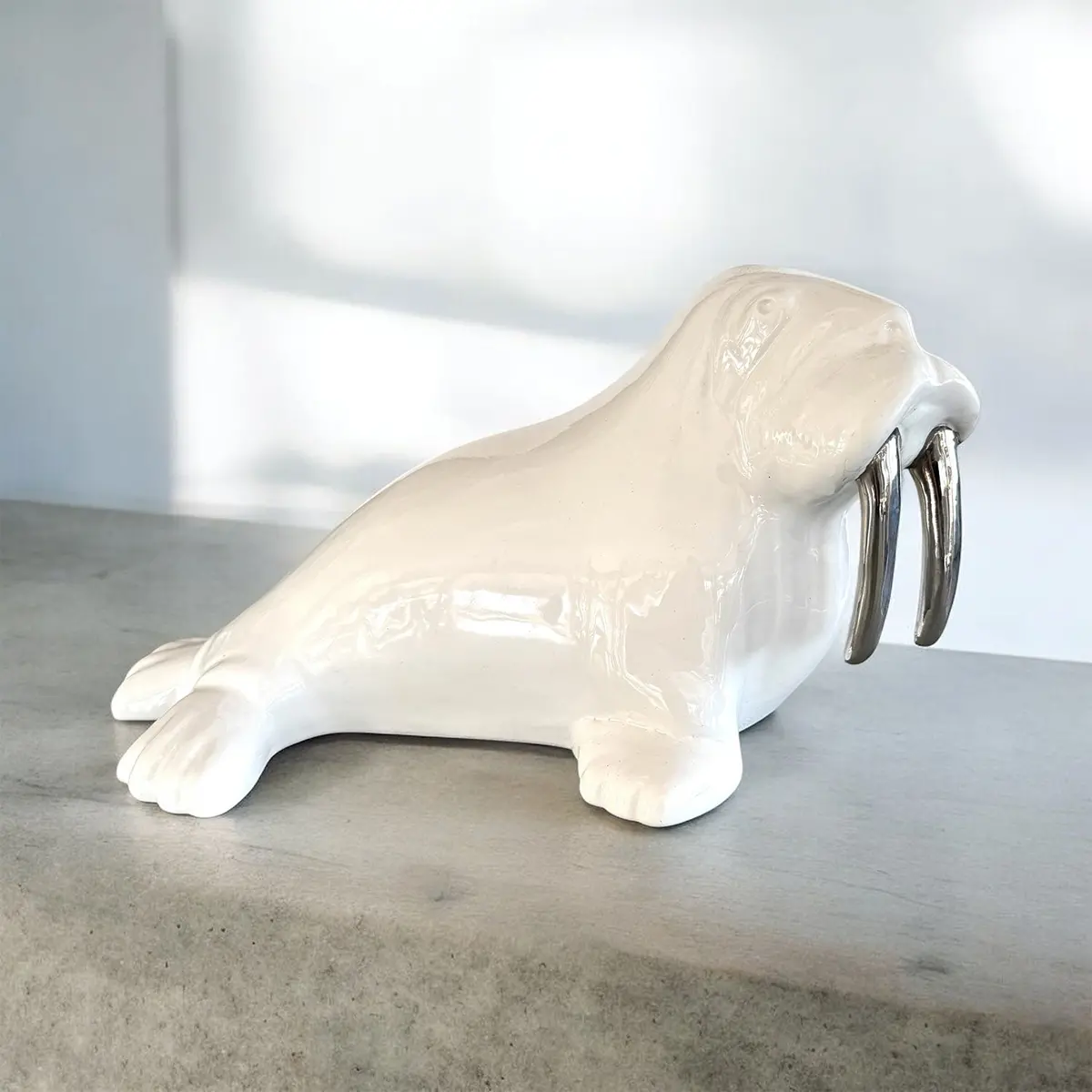 Checo Il Tricheco - Little Walrus 1