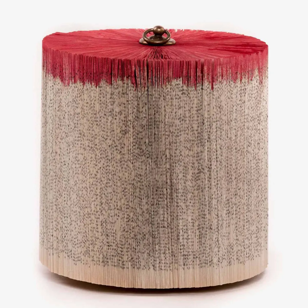 Trunk Red Medium 1