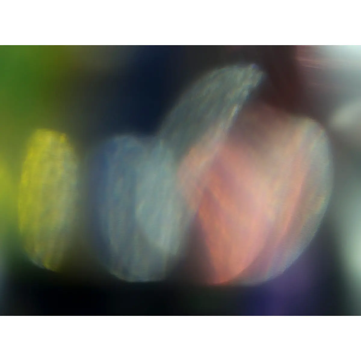 Ephemeral Glow 0930 1