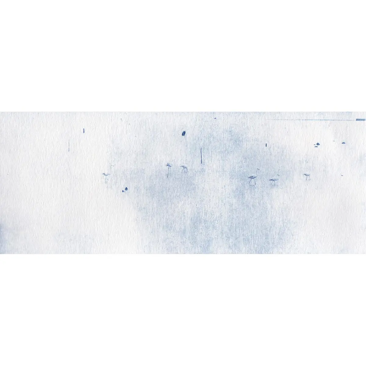 Fenicotteri #02 1