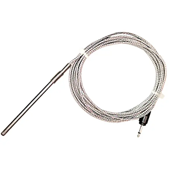 Fireboard Ambient Probe 1