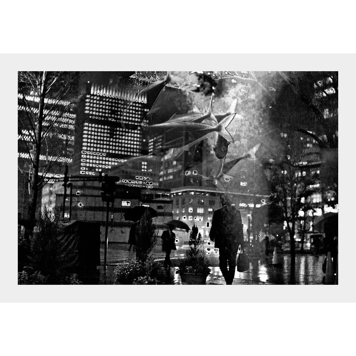 Flowing As Fishes (Tokyo, Japan) 1
