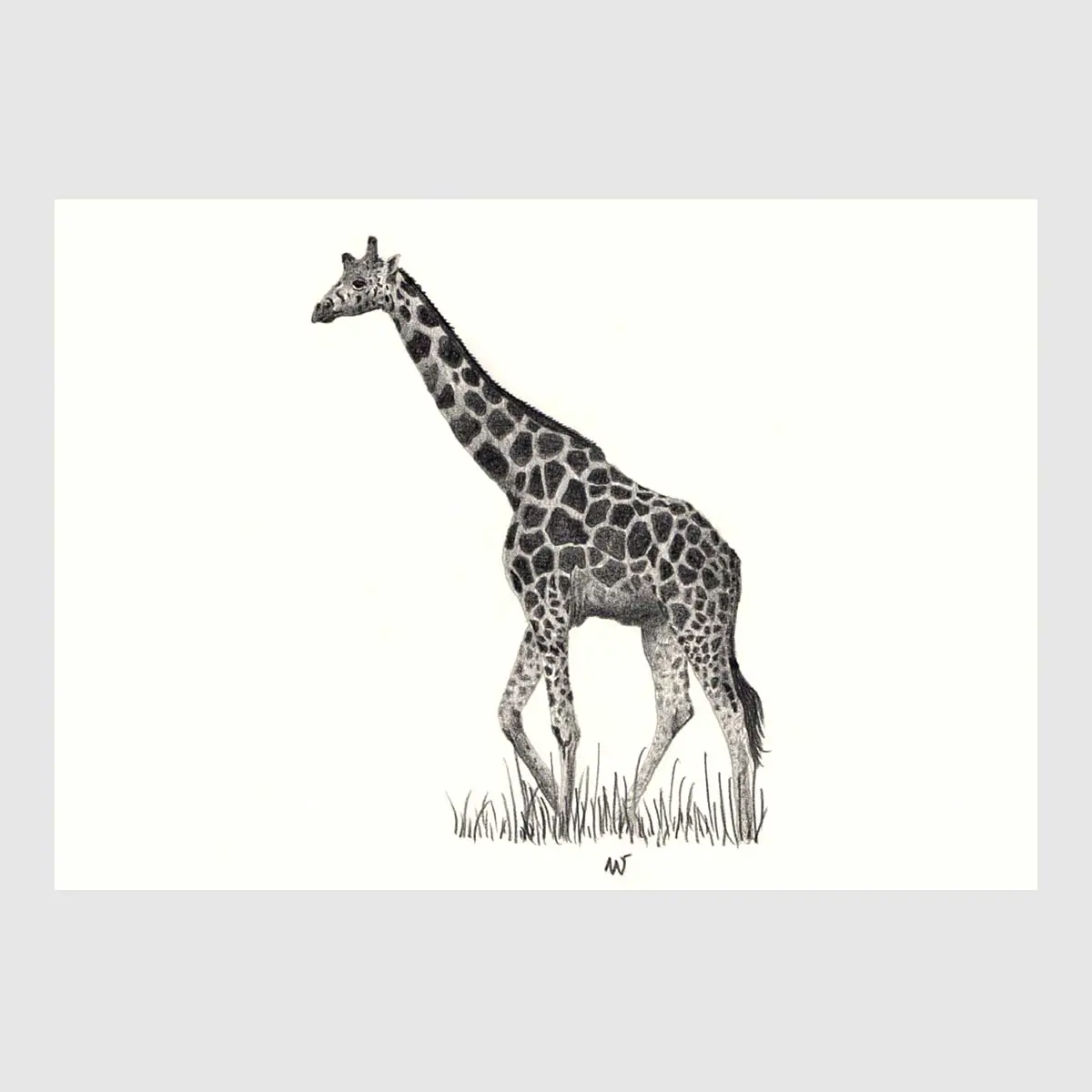 Savannah Animal Placemats 1