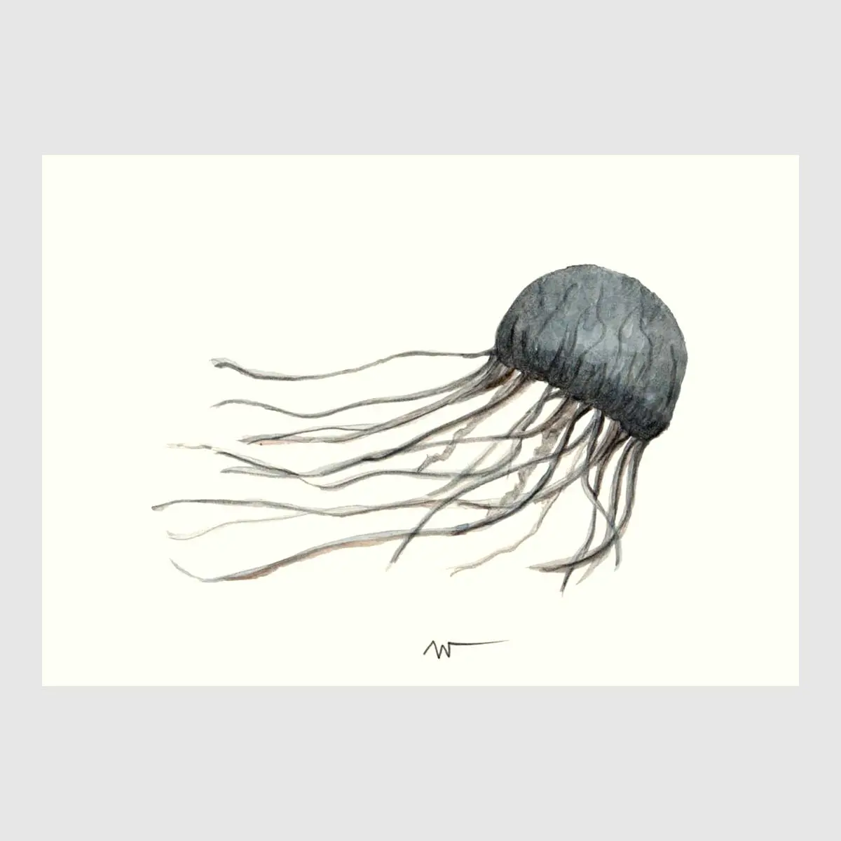 Jellyfish & Octopus Placemats 1