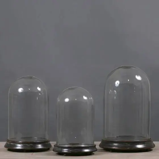 Mini Glass Cloche 1