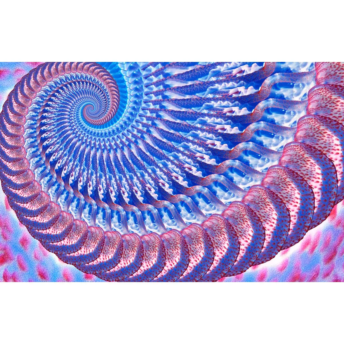 Pelagia Noctiluca 1