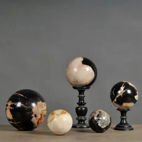 Petrified Wood Spheres 1