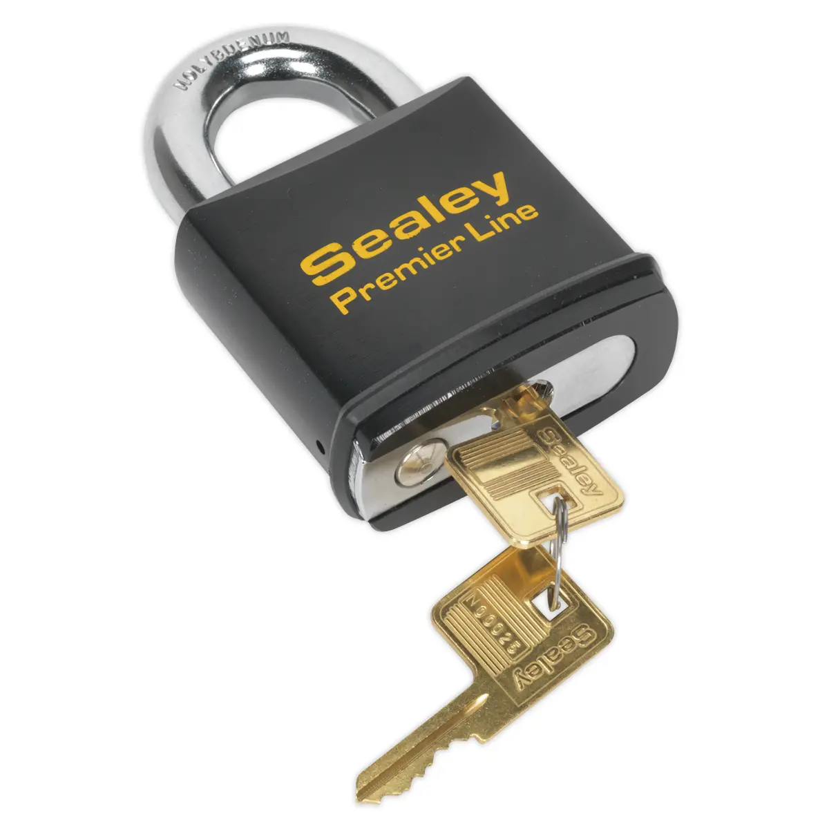 Premier™ Steel Body Padlock 70Mm Pl504 1