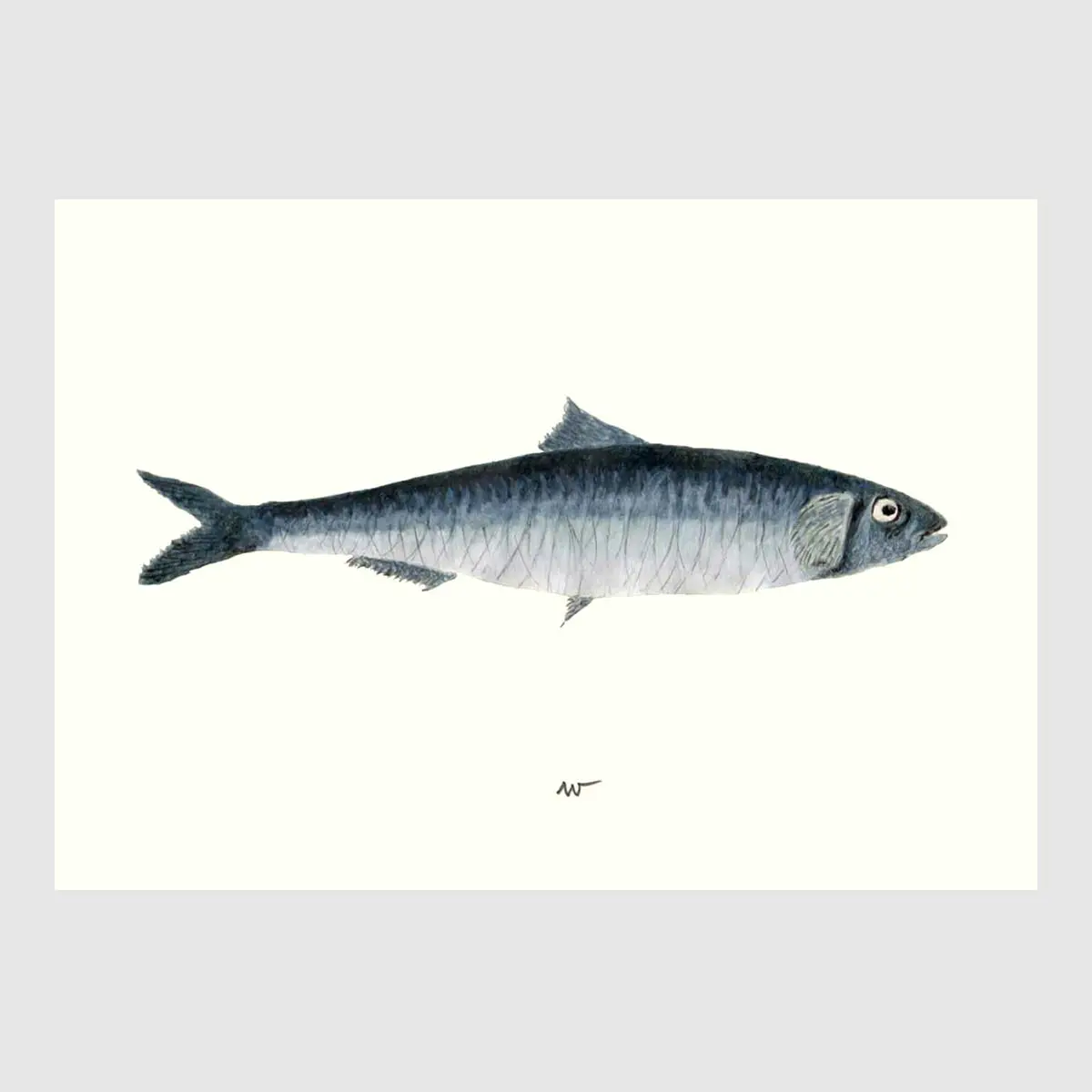 Sardine Placemats 4