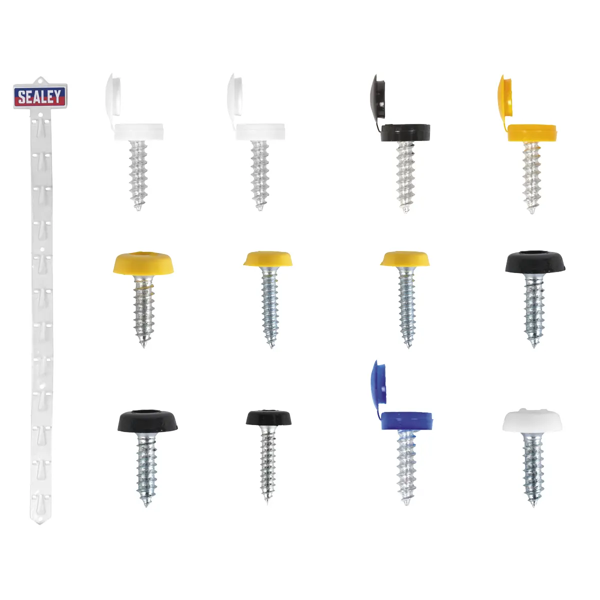 Sealey Clip Strip Deal - Mixed Numberplate Screws Npsset 1