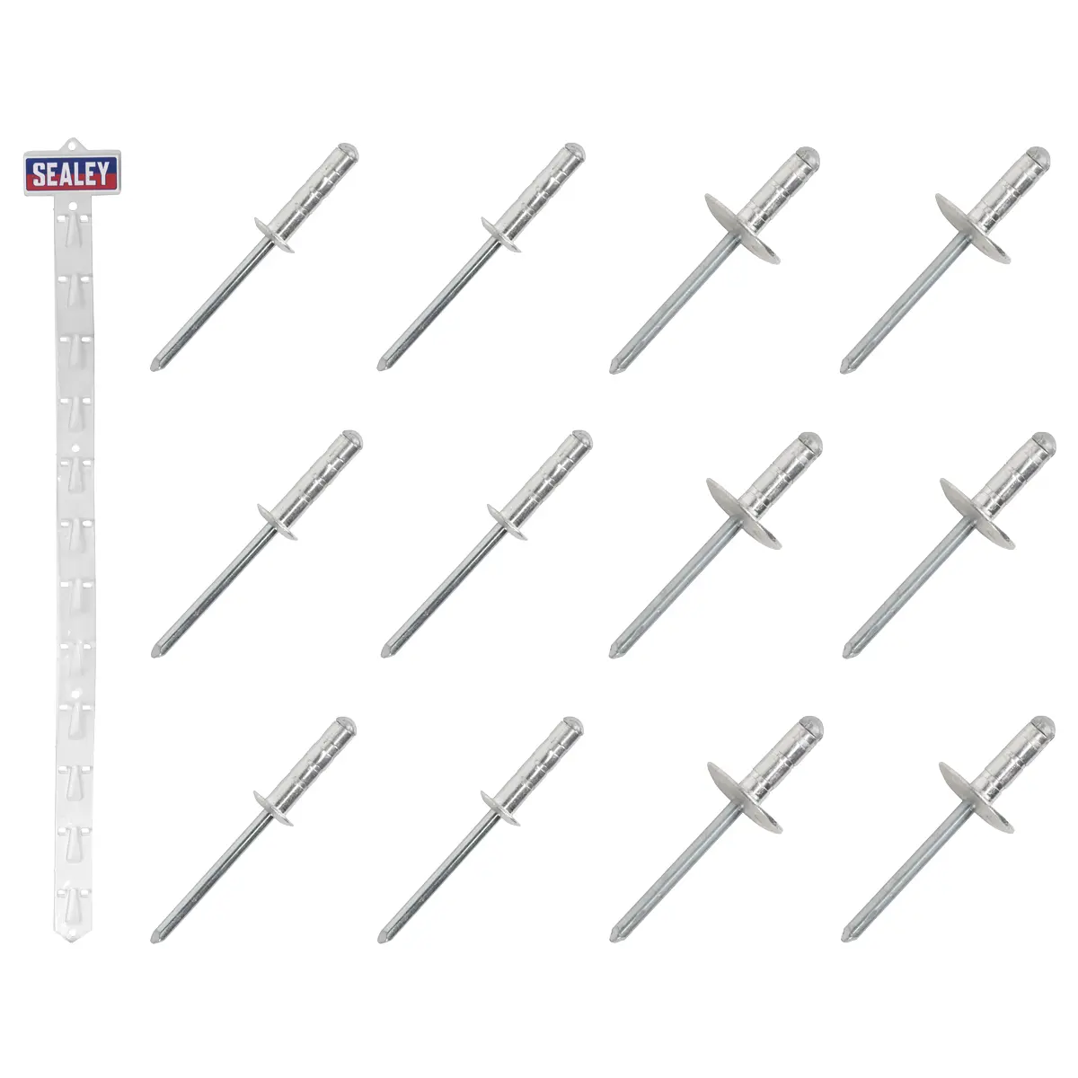 Sealey Clip Strip Deal - Aluminium Rivets Rvset 1