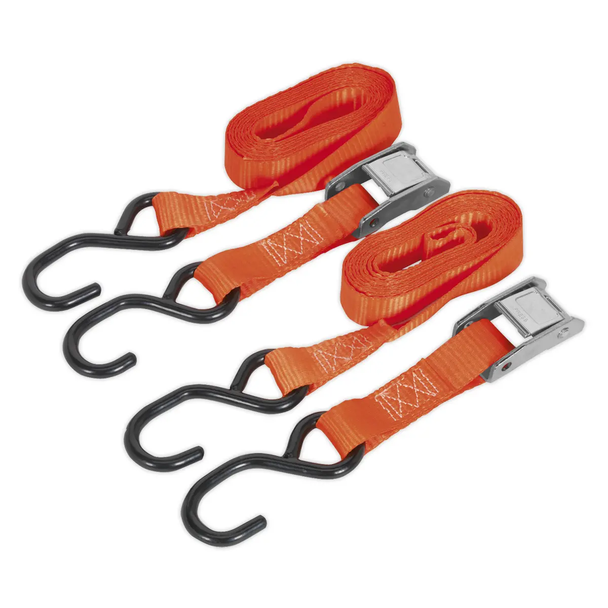 Sealey Cam Buckle Strap Polyester Webbing With S-Hooks 25Mm X 2.5M 500Kg Breaking Strength Td05025cs 1