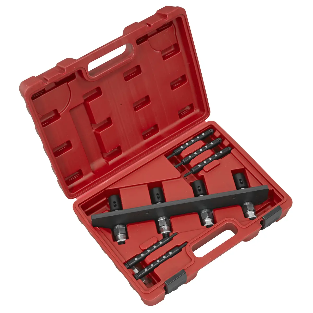 Sealey Petrol Fuel Injection Removal/Installation Kit For Bmw & Mini Vs2081 1