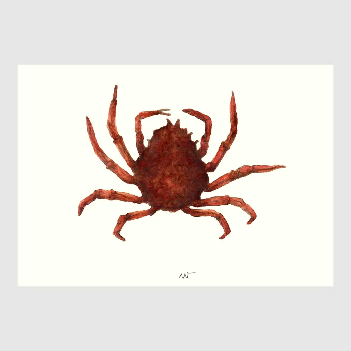 Spider Crab Placemats 1