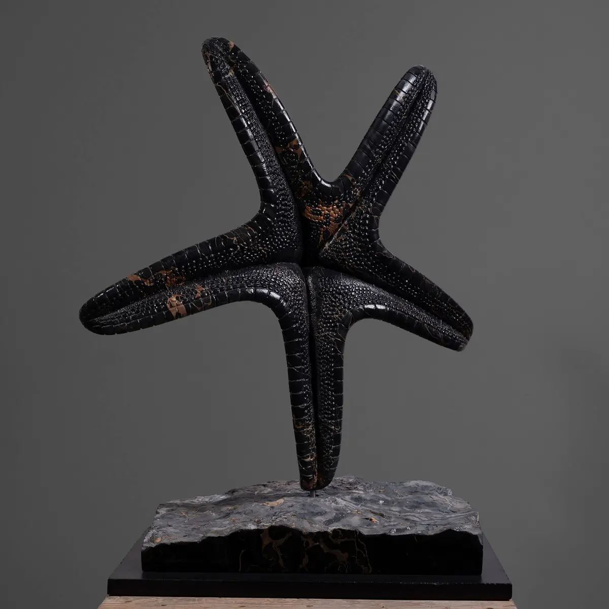 Starfish Asteroidea 1