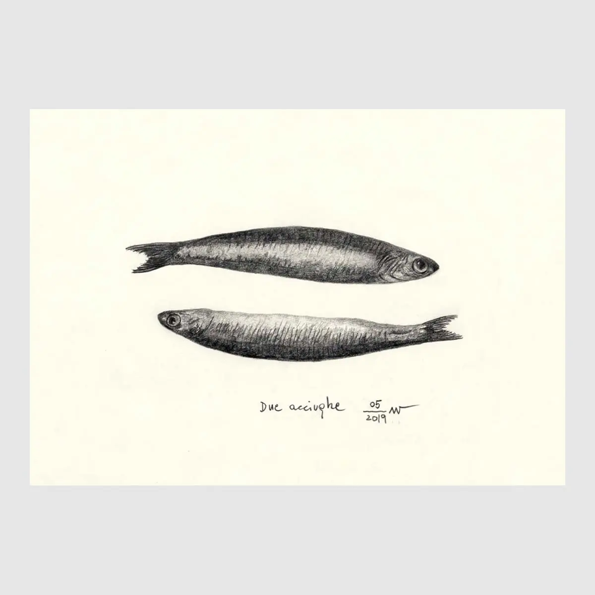 Anchovy Placemats 3