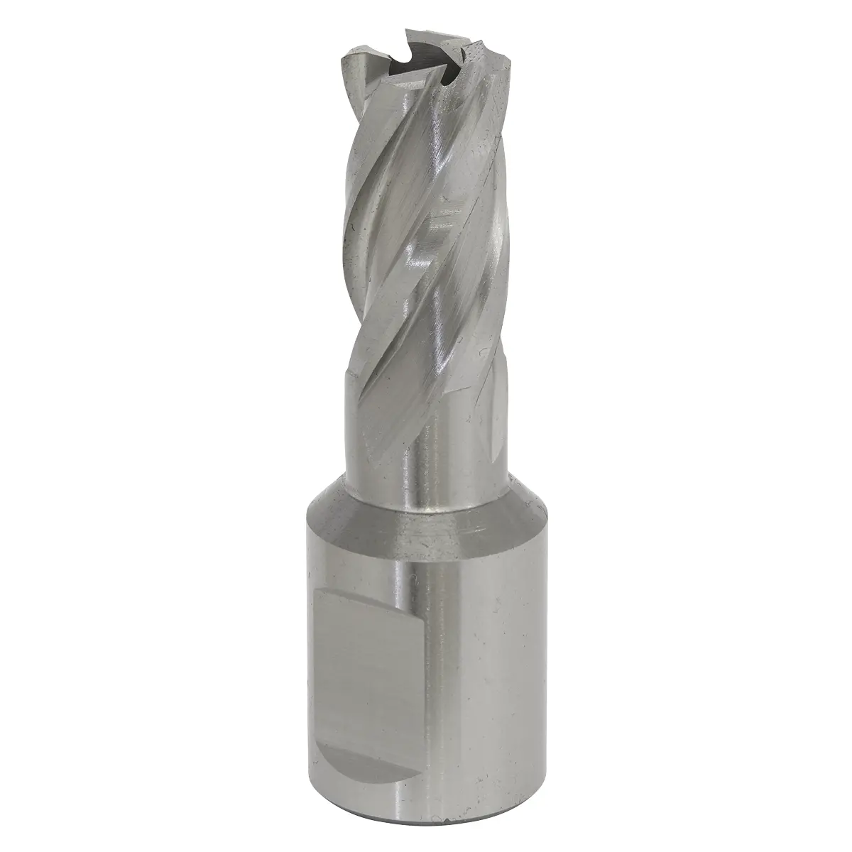 Worksafe® 13Mm Hss Mag Drill Bit Cut Depth 25Mm Rbhss13s 1